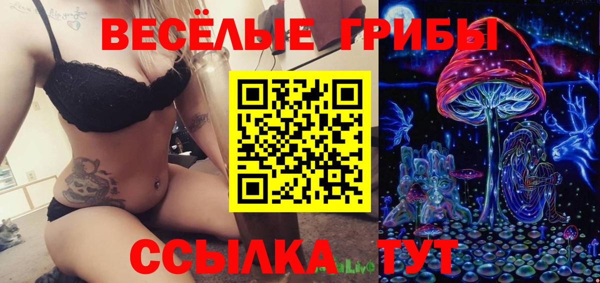 Псилоцибиновые грибы Magic Shrooms Балтийск